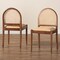 Bali & Pari Maryland Modern Bohemian Natural Rattan and Acacia Wood 2-Piece Dining Chair Set 243-2PC-13362-ZORO - alternate 7